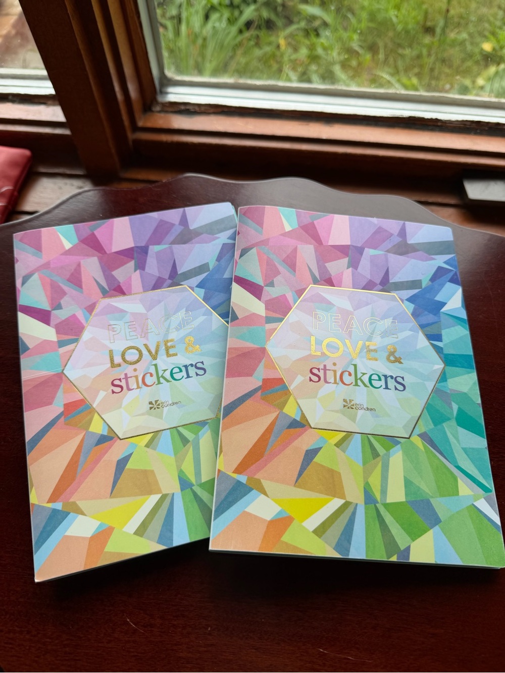 2 Erin Condren Sticker Storage Books